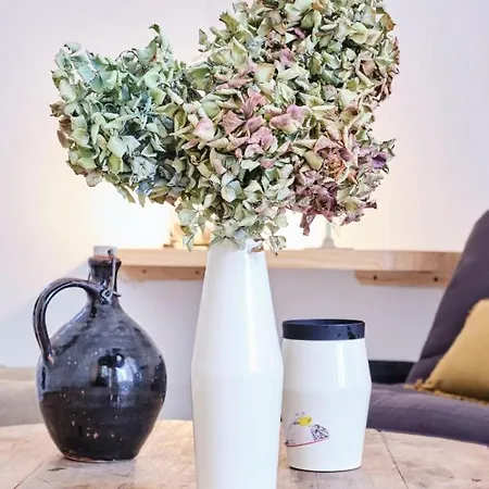 Guestready - Eucalyptus Dream Heart Of Biarritz